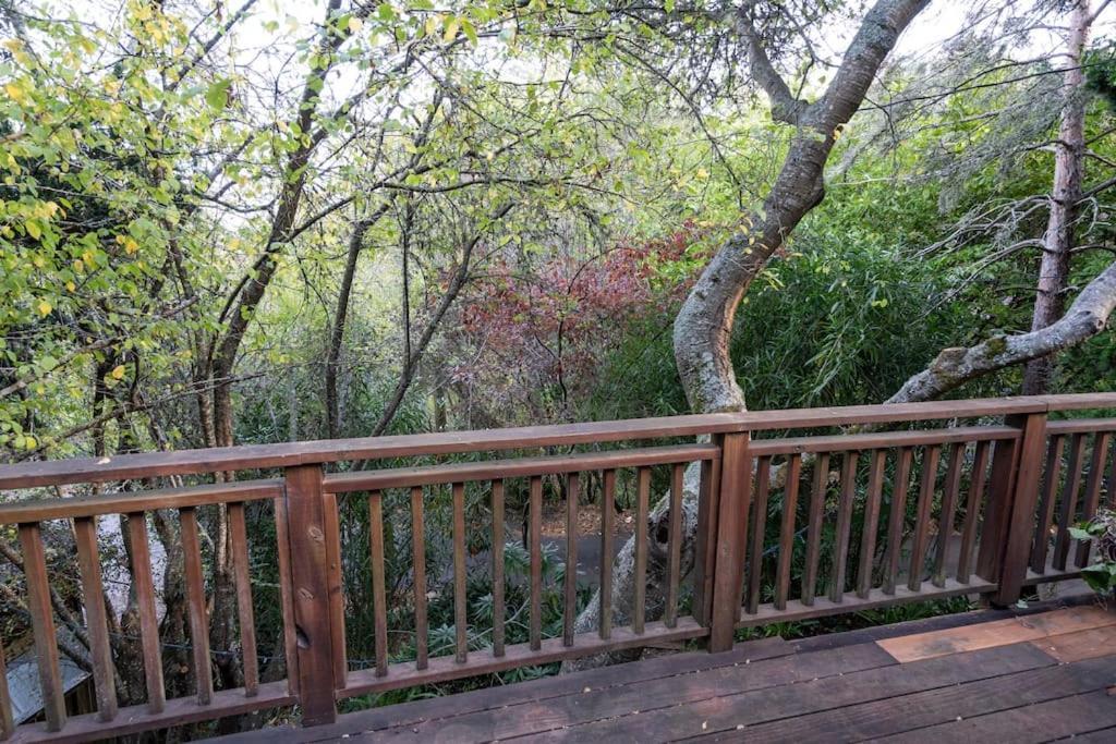 Spacious Serene Sanctuary- 14 Min To Muir Woods Villa Mill Valley Exterior photo